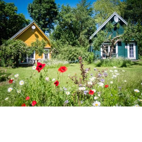 Schmidt's Ferienhäuser bei Zingst