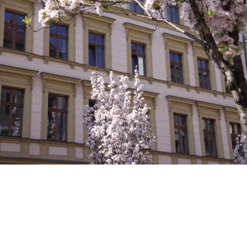 Schoenhouse Apartments