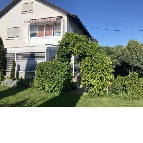 Schöne 80qm Ferienwohnung in ruhiger Lage