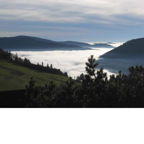 Schöne Aussicht