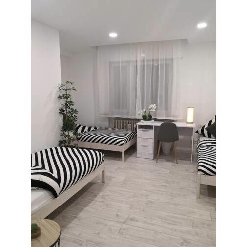 Schöne, renovierte und optimal gelegene Wohnung