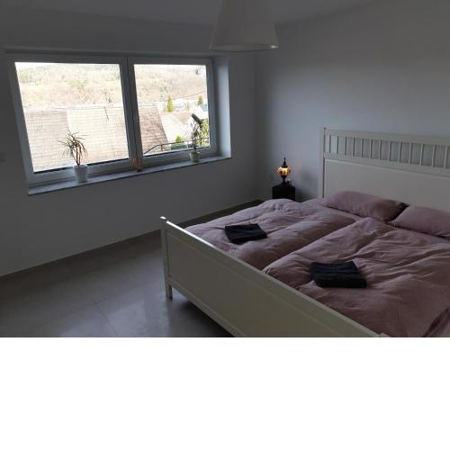 Schöne Wohnung über Wissen