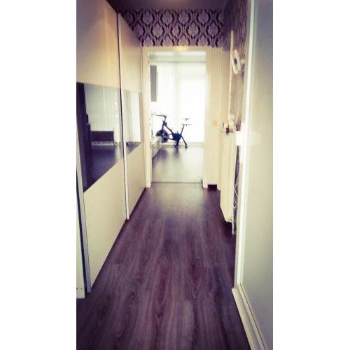 Schönes Einzimmer-Apartment im Herzen Bielefelds
