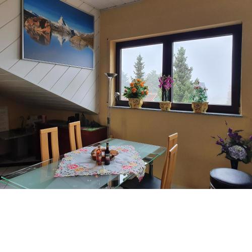 Schönes Studio in der Rheinebene, zentral gelegen