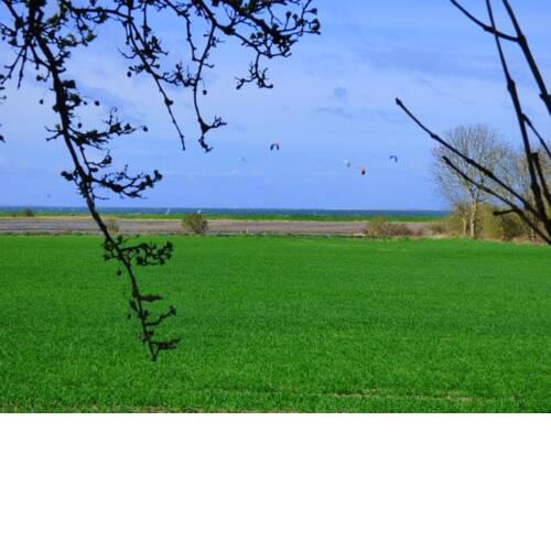 Schwalbennest 2 - 55315
