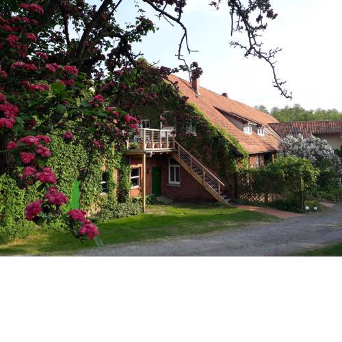 Schwalbennest