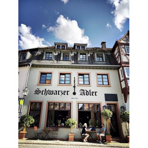 Schwarzer Adler