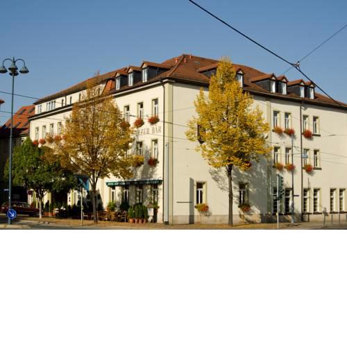 Schwarzer Bär Jena