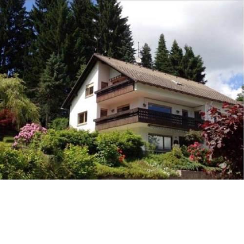 Schwarzwald Renovated Design Grey Studio