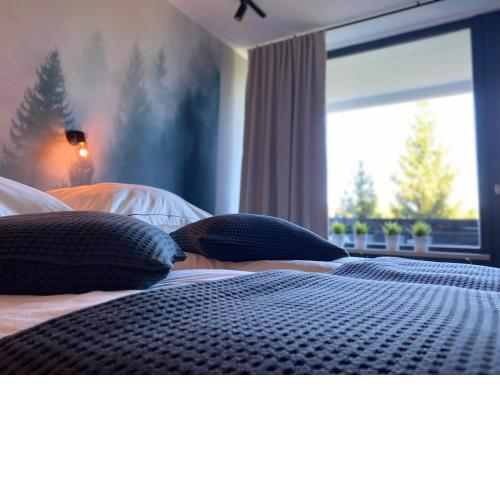 Schwarzwald Wohnung Kniebis