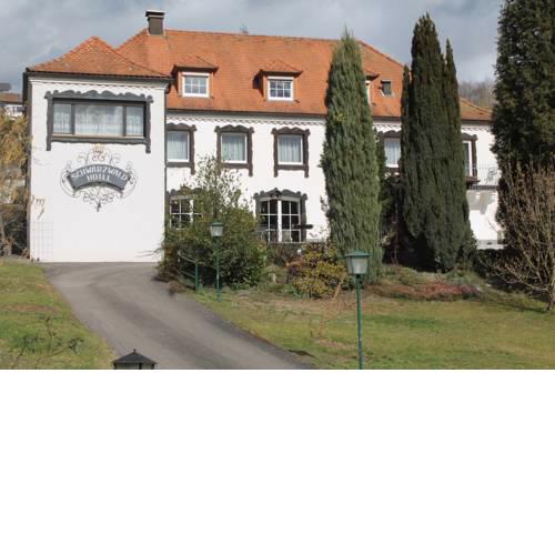 Schwarzwaldhotel / Wolfach