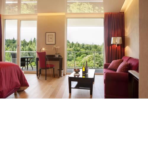 Schwitzer's Hotel am Park
