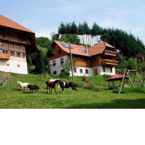 Schwörerhof