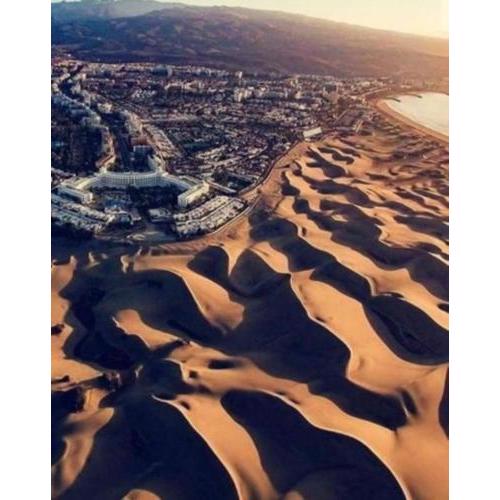 Sea and Dunes in The Sun