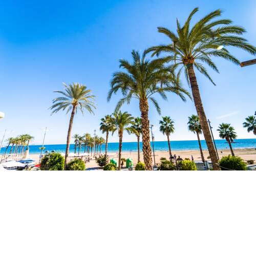 Seanema Palm Beach