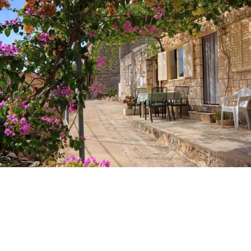 Seaside holiday house Grscica, Korcula - 626