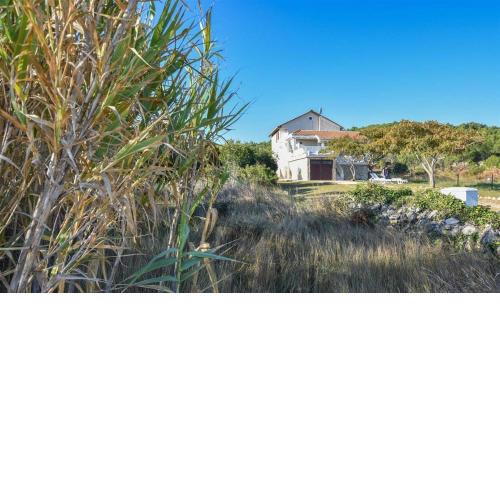 Seaside holiday house Zdrelac, Pasman - 21126