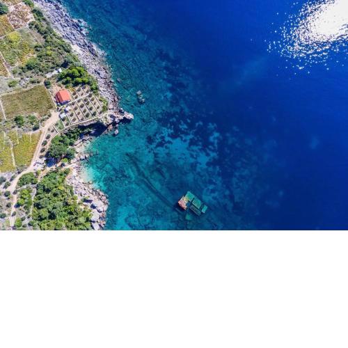 Seaside house for families with children Postup, Peljesac - 20849