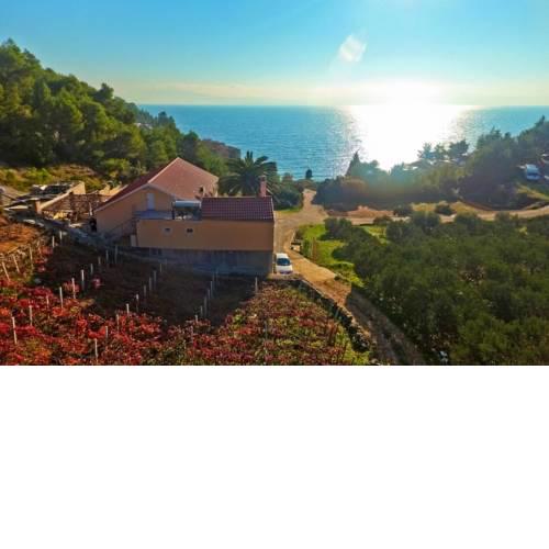 Seaside secluded apartments Cove Tvrdni Dolac, Hvar - 4008