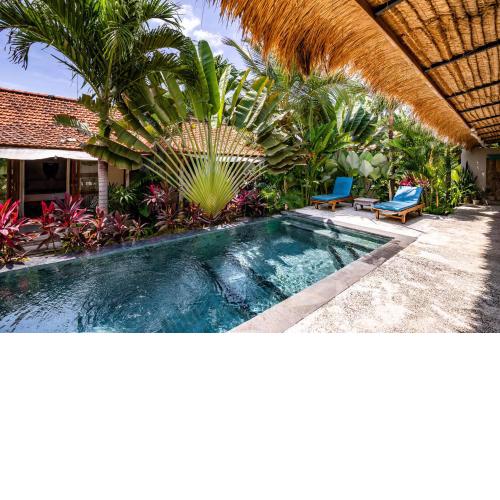 Seaside Tribe - Boutique Surf Stay & Retreat