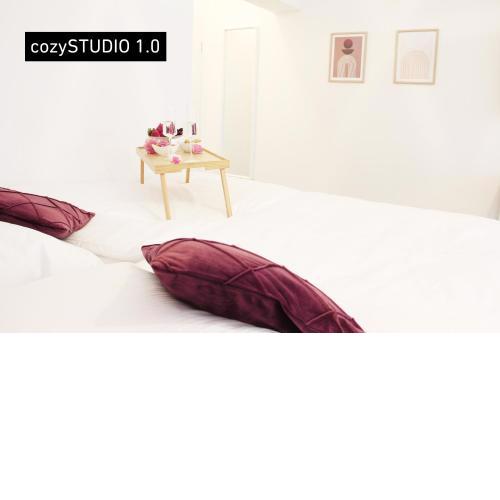 SECRET HIDEAWAYS cozySTUDIO1.0 near university