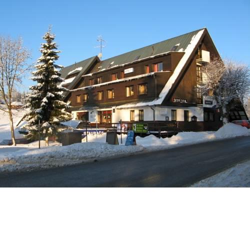Šedý Vlk