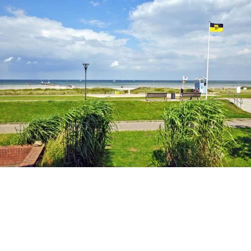 Seeadler