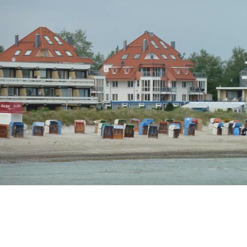 Seedüne 7