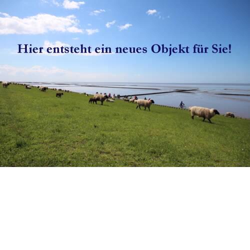 Seehund - [#131286]