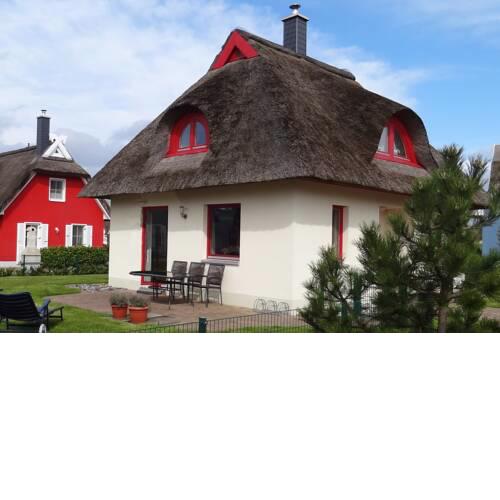 Seemöwe - a46673