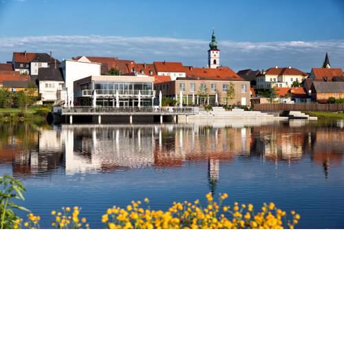 Seenario - Art & Health Hotel am See
