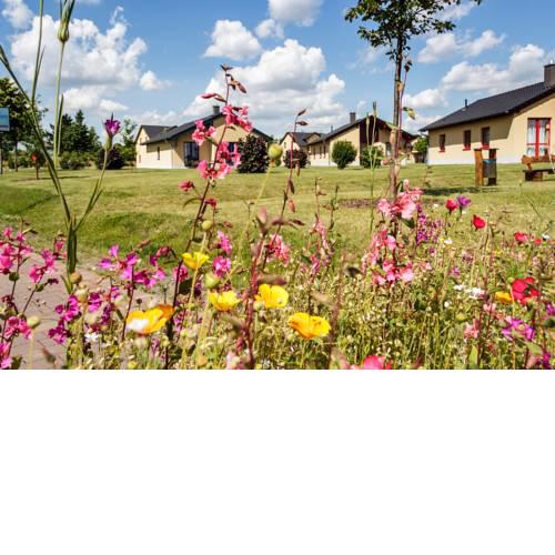 Seepark Auenhain