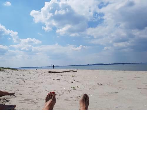Seesternchen