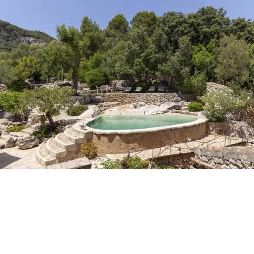 Selva - 247036