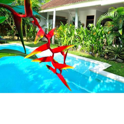 SEMINYAK AMAZING VILLA 3 BEDR/2 LARGE APARTMENTS