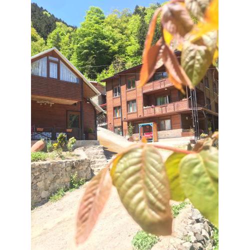 ŞEN BUTİK OTEL ve BUNGALOV
