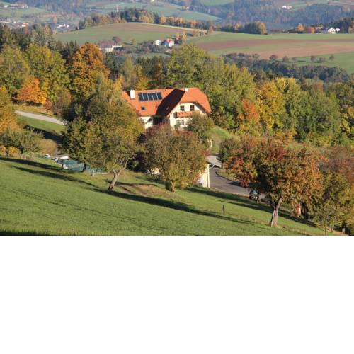 Seppl Am Berg