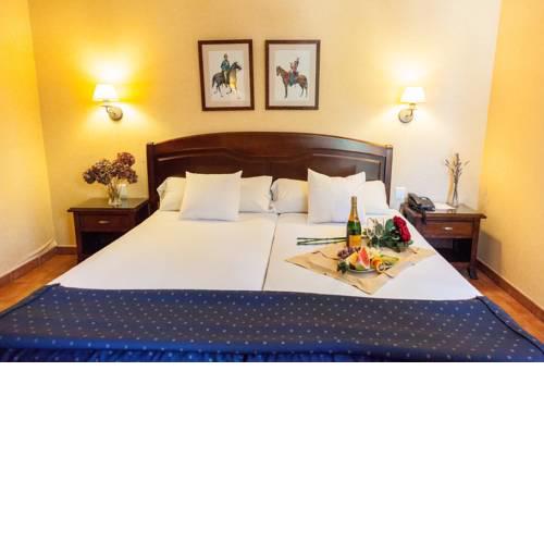 Sercotel Hotel Los Lanceros