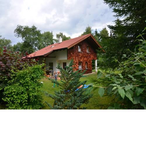 Serene holiday home in Bischofsmais Bavaria amidst lush green forest