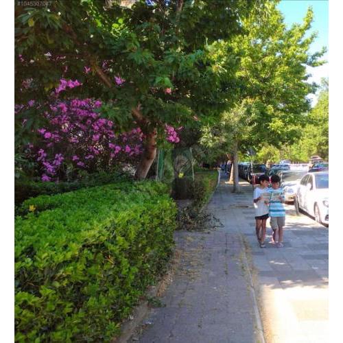 Serene & Spacious 3BR Apartment in Istanbul's Prime Location - Discover Vibrant Seafront Living