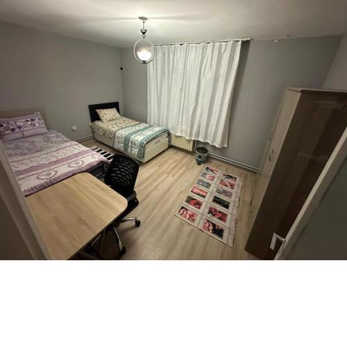 Shared Apartment