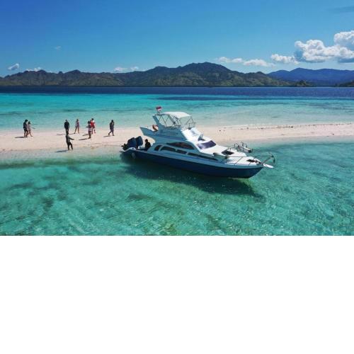 Sharing Daily Trip by Speed Boat