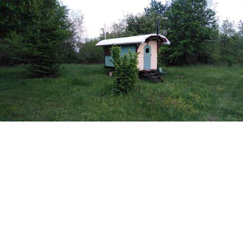 Shepherd's hut in nature