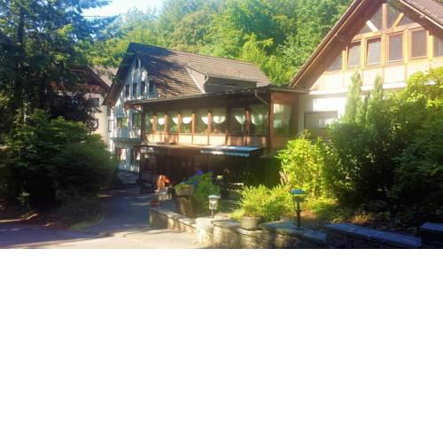 Siegerland-Hotel Haus im Walde