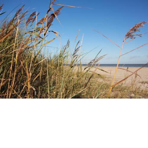 Sielblick