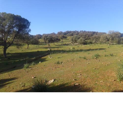 Sierrezuela Baja
