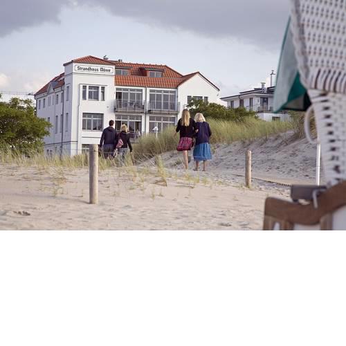 Silbermöwe