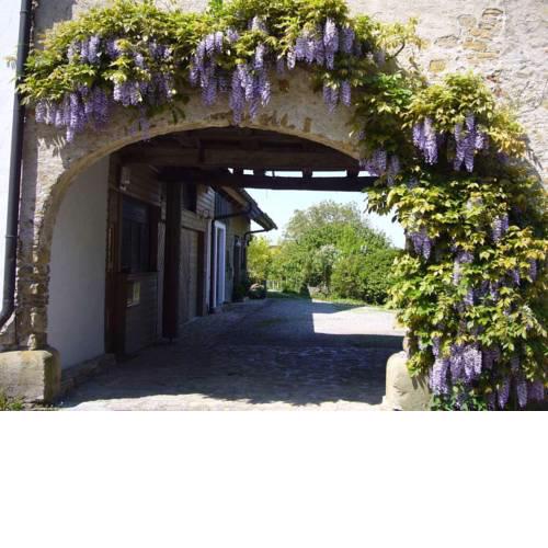 Silvia Krafts Bed and Breakfast