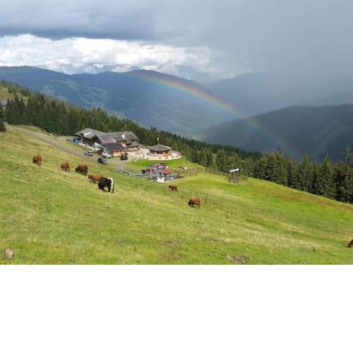 Simal Alm