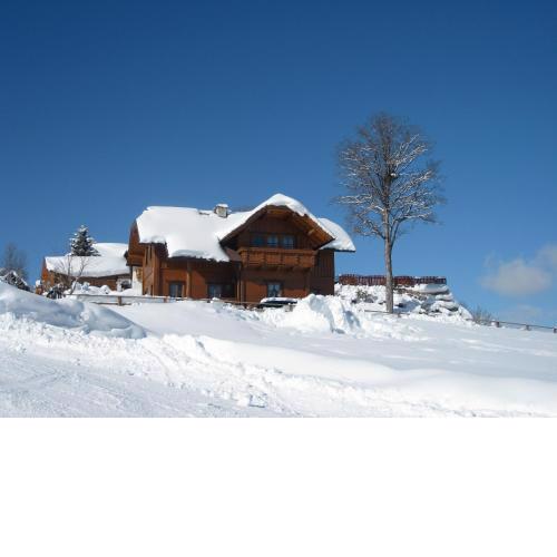 Ski-In Ski-Out Appartement Landhäusl